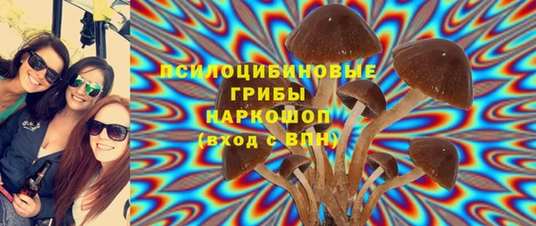 мдма Богданович